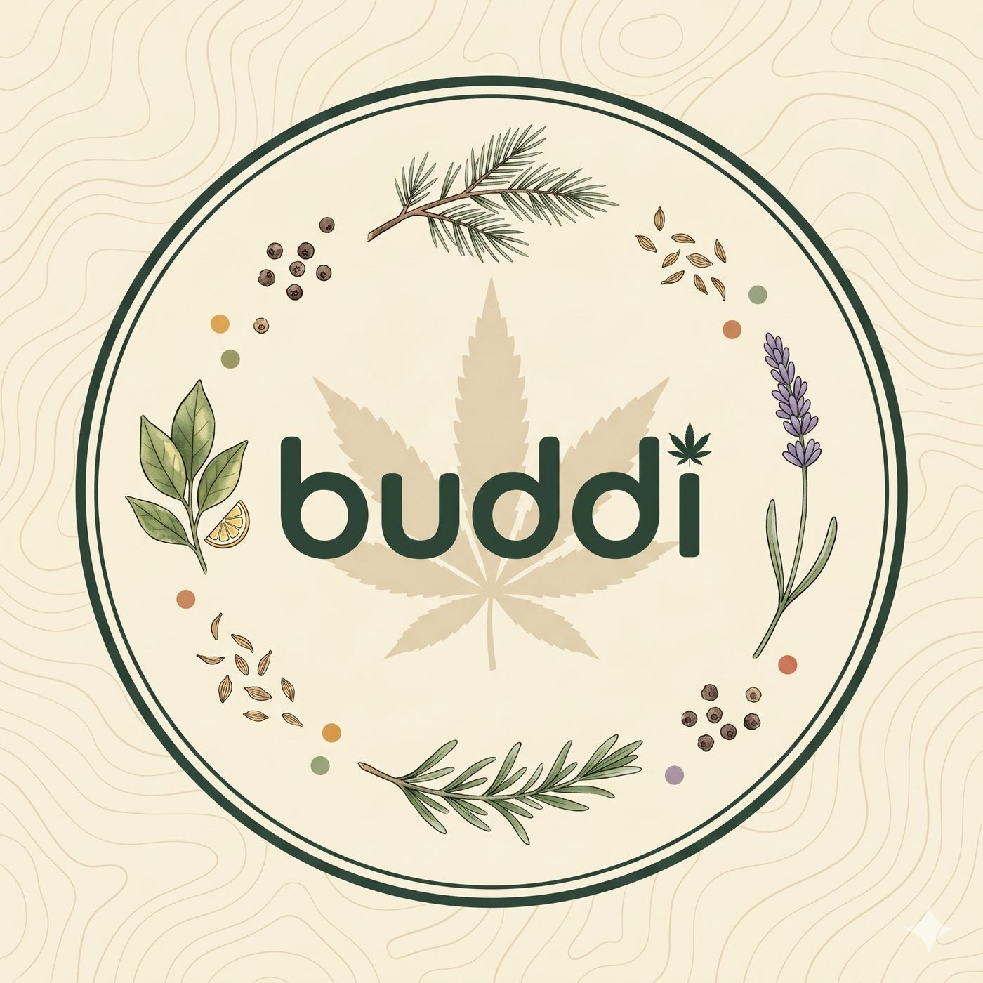 buddi